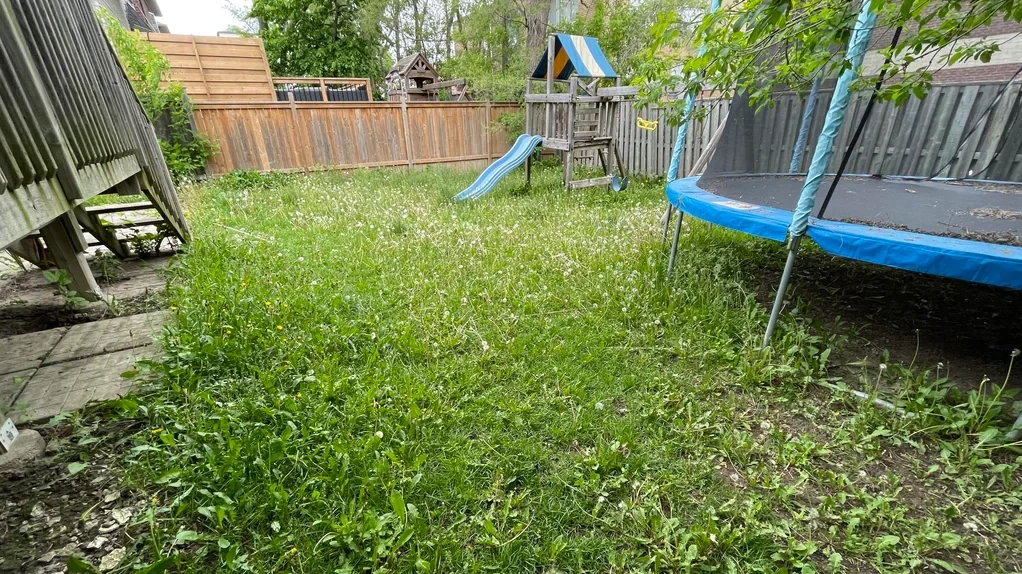 Garten Vorher